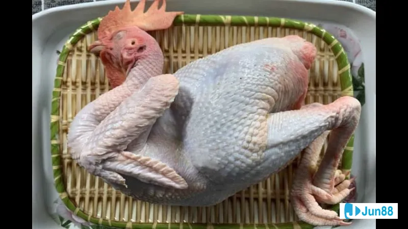 Hai tay đặt dưới cánh chim