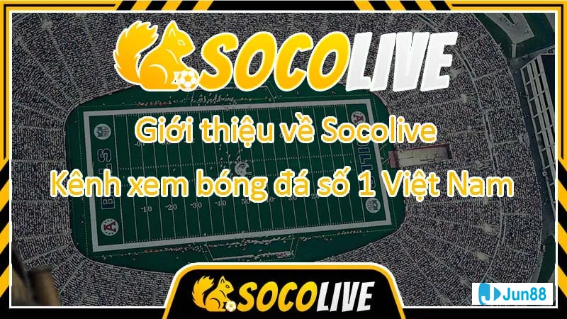 Ứng dụng bình luận bóng đá trong cá