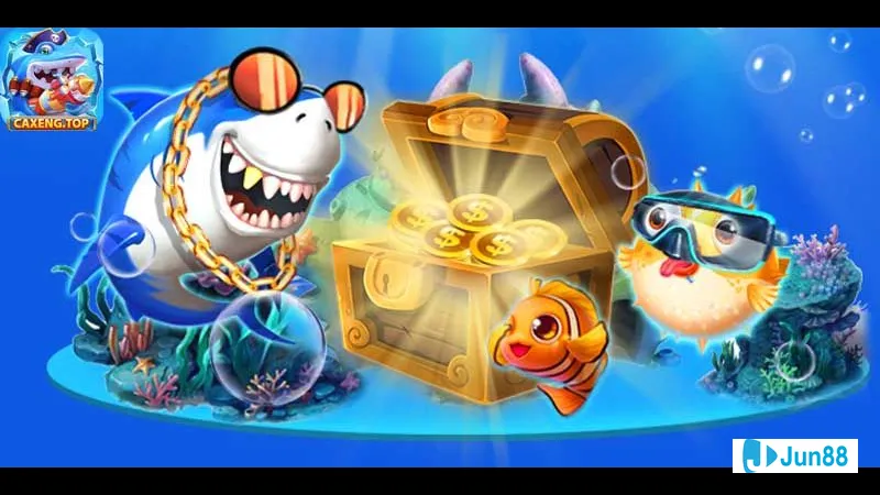 Minh họa cho Đặc Điểm Chính Của Cá